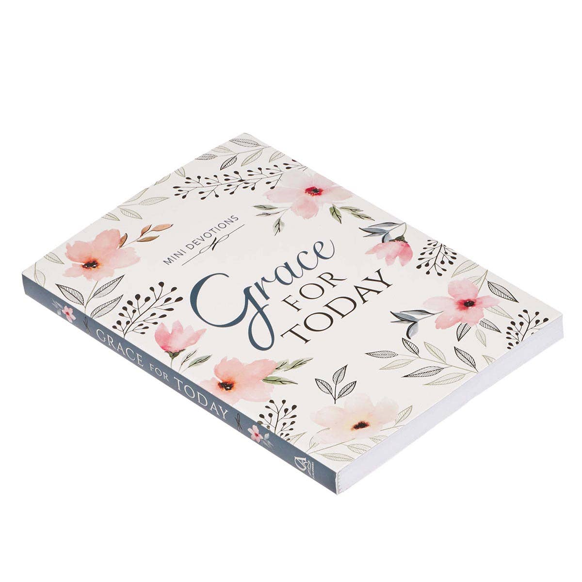 Mini Devotions: Grace for Today