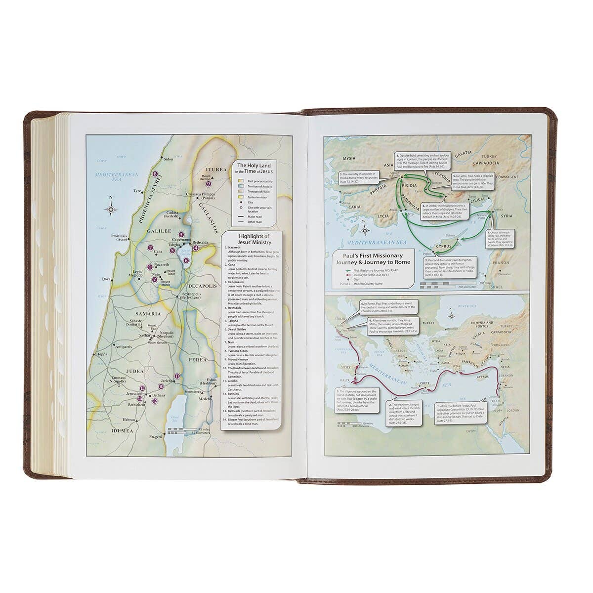 Brown Crown of Thorns Giant Print KJV Bible with Thumb Index